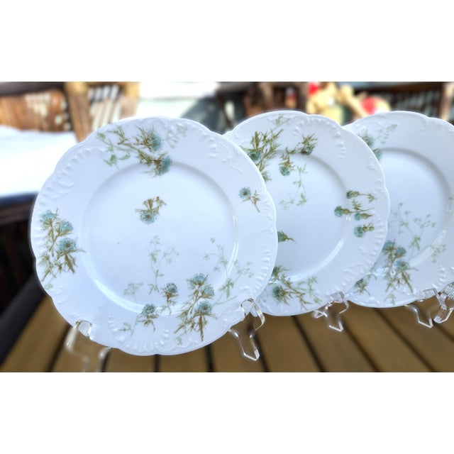 French Limoges by Havilland & Co. Porcelain Salad / Dessert Plates – Set of Six For Sale - Image 3 of 8