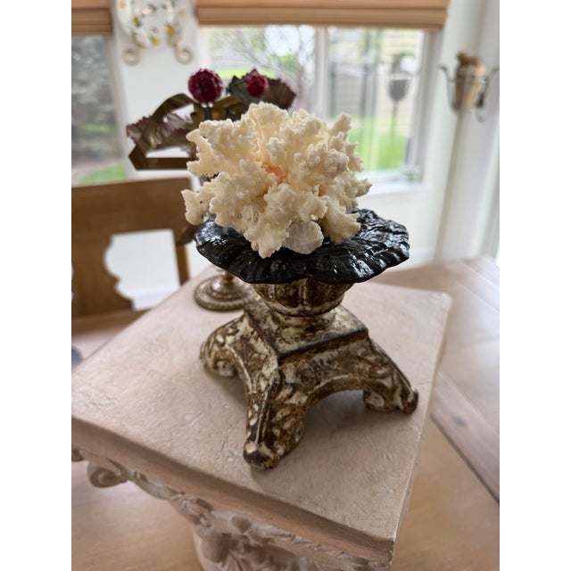 Celestial Meets the Sea Shell Decoration-Coastal Art Sculpture For Sale In Chicago - Image 6 of 6