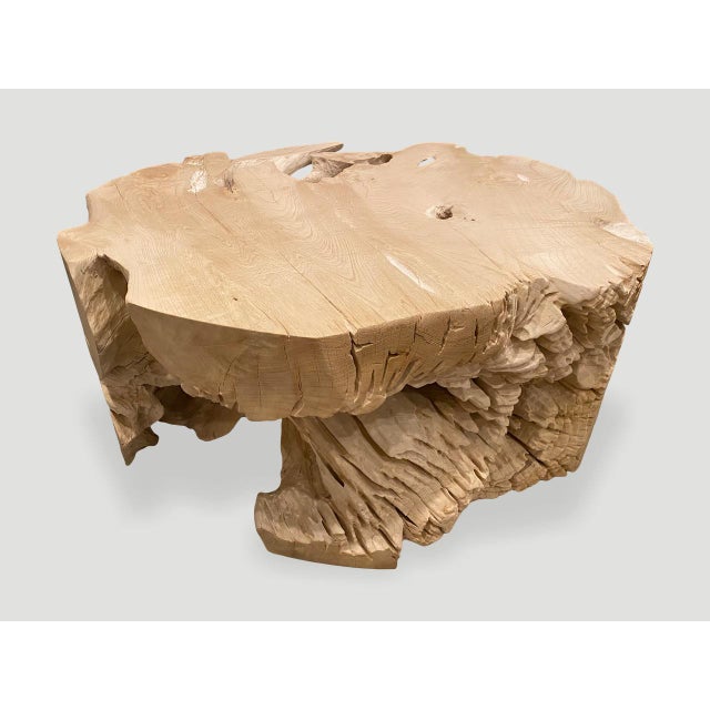 Andrianna Shamaris Organic Bleached Teak Wood Coffee Table or Side Table For Sale - Image 17 of 18