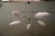Chandelier in the style of Lunel, 1960s For Sale - Image 3 of 12