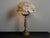 Barovier & Toso Murano Glass Table Lamp in the style of Barovier and Toso Style, 1960s For Sale - Image 4 of 12