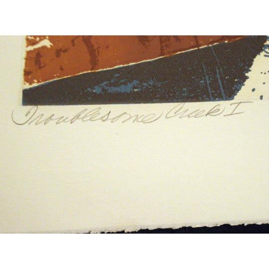 Impressionist 1980s Paula Crane "Troublesome Creek II Signed Numbered Art Etching, Waterfall For Sale - Image 3 of 4