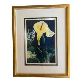 Signed Mezzotint by g.h. Rothe, Titled Calalily For Sale