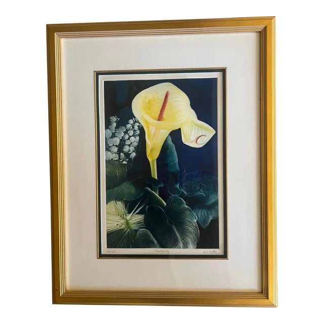 Signed Mezzotint by g.h. Rothe, Titled Calalily For Sale