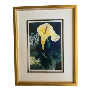 Signed Mezzotint by g.h. Rothe, Titled Calalily
