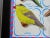Mid-Century Modern 1960s Japanese Tin Toy Bird Pins, Framed For Sale - Image 3 of 7