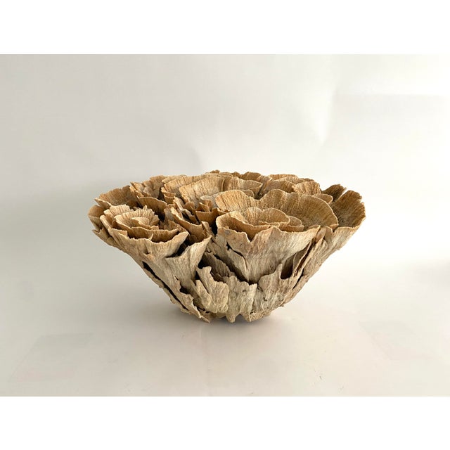 Chinoiserie Extraordinary Natural Unbleached Poca Coral Speciman For Sale - Image 3 of 10
