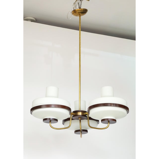 1960's Stilnovo Style Walnut and Brass Chandelier For Sale - Image 9 of 17