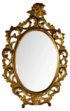 19th Century French Rococo Gilt Wall Mirror, 1830s