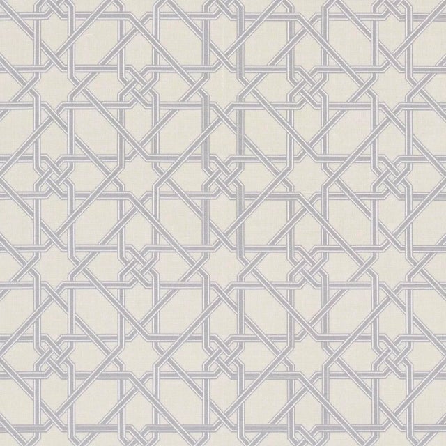 Schumacher x Mary Mcdonald Le Maroc Epingle Fabric in Dove For Sale