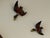 Mid-Century Modern Hand Painted Birds in Flight For Sale - Image 3 of 7