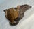 Brown Antique 18th Century Baroque Polychromed Hand Carved Wood Wall Shelf Corbel For Sale - Image 8 of 8