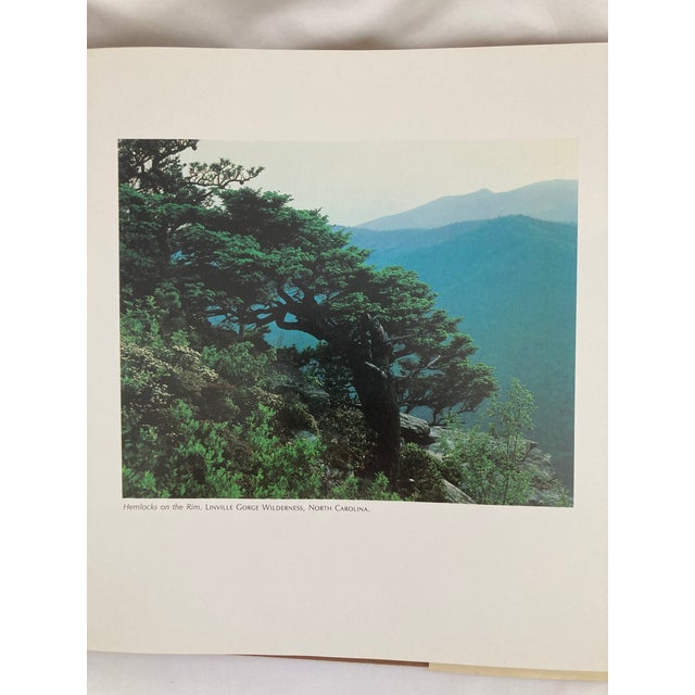 The American South / a Vintage Oversized Coffee Table Book / 1980 For Sale - Image 4 of 11