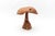 1960s Large Mid-Century Modern Mushroom, 1960s For Sale - Image 5 of 16