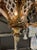 Metal Louis XV Gilt Bronze and Crystal Chandelier For Sale - Image 7 of 8