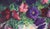 1930s 1930s Vibrant Floral Still Life With Petunias and Candle Stick by Jennie Thatcher Crawford For Sale - Image 5 of 7