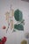 1900 - 1909 Pair of Large Floral Botanical German Color Engravings For Sale - Image 5 of 16