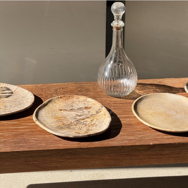 Small Oval Trinket Dish or Tray in Plain Beige Petrified Wood For Sale - Image 18 of 18