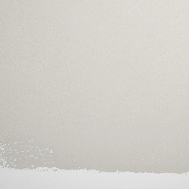 Not Yet Made - Made To Order BACKDROP Standard Finish Interior Paint in Ritual Unions (Neutral, Light Gray) - 1 Gallon For Sale - Image 5 of 5