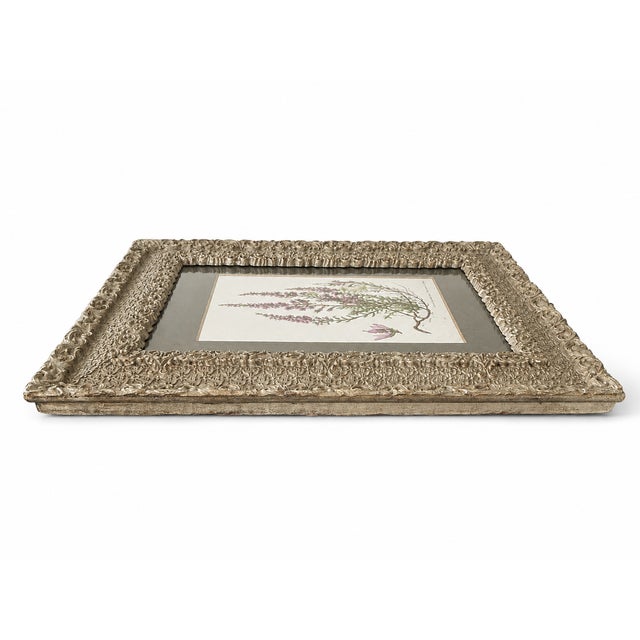 Late 19th Century Antique Victorian Ornate Silvered Frame With French Heather Botanical Print For Sale - Image 5 of 9