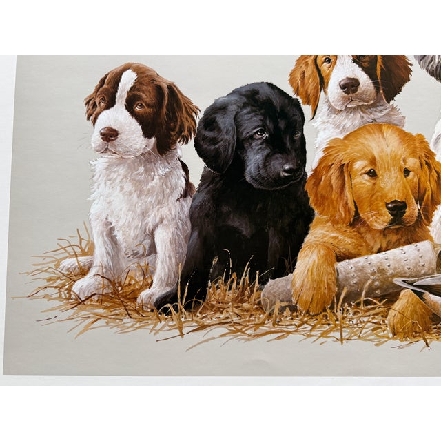 1980s 1980s Jim Killen Sporting Dog Art Great Retrievers Labs (29.5"x20") "School Daze" Open Edition For Sale - Image 5 of 7
