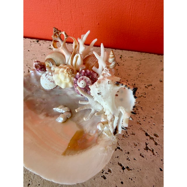Traditional CSS Seashell "What-Not" Oyster Dish For Sale - Image 3 of 6