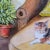2020s Traditional Cat in the Sun by Cynthia Geyer For Sale - Image 5 of 5