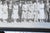 1934 u.s. Capitol Hill School Portrait Washington Dc, Greene-Dreher Pa Panoramic Black and White Photograph in Original Frame For Sale In Washington DC - Image 6 of 9