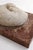 1920s Small Art Deco Sculpture of a Sleeping Dog on a Marble Base, 1920s-1940s For Sale - Image 5 of 11