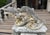 Pair of Weathered French Cement Dolphin Fountain Spouts, Circa 1970s For Sale - Image 16 of 16