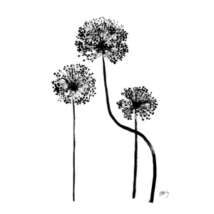 Black Alliums, One of 6 in a Series, Painted in Gouache on Heavy Paper