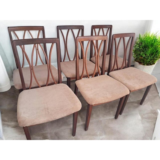Transform your dining space with this exquisite set of six Mid-Century G Plan vintage dining chairs , impeccably preserved...