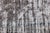 Antique Tabriz Distressed Wool Rug With Muted Earth Tones & Indigo For Sale - Image 4 of 10