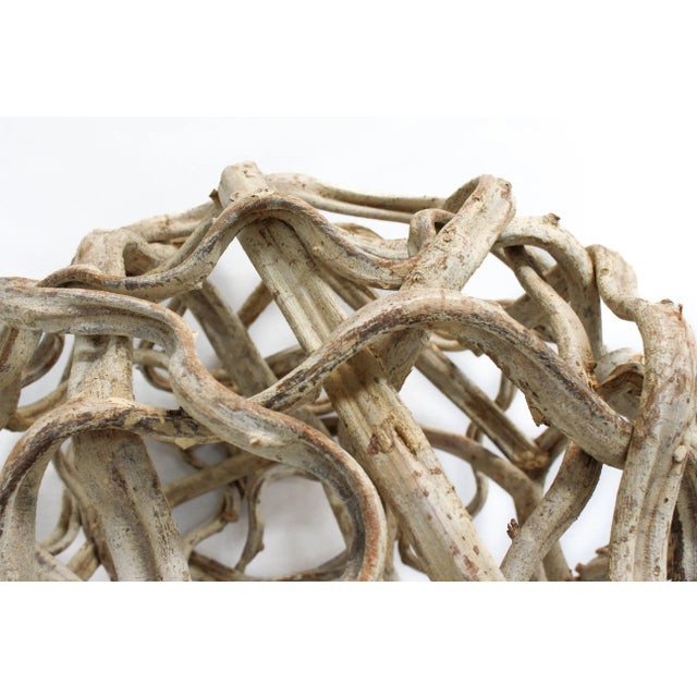 Vine of the Earth Large Sphere For Sale - Image 11 of 12