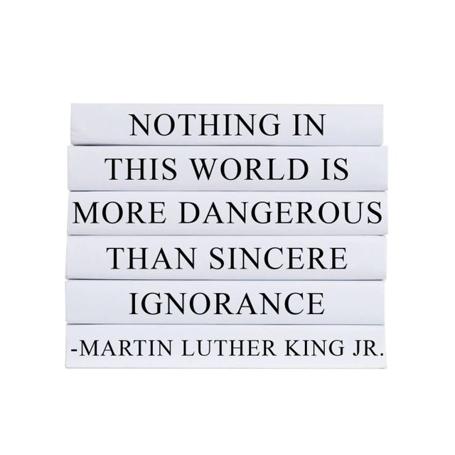 Modern Decorative Books - Quote Book Stack - "Dangerous Ignorance" For Sale - Image 3 of 3