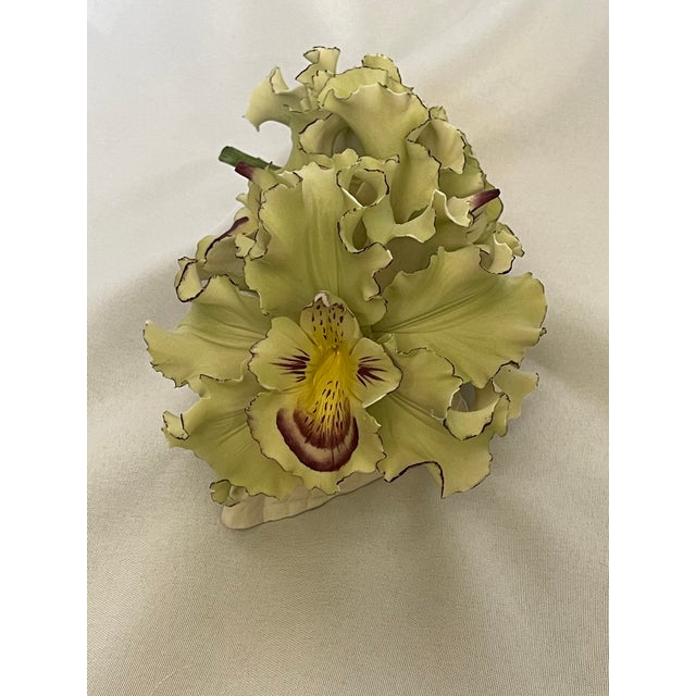 Vintage Capodimonte Orchids on Porcelain Log For Sale - Image 12 of 13