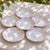 Antique Porcelain Plates from Carl Tielsch, 1890, Set of 6 For Sale - Image 4 of 8
