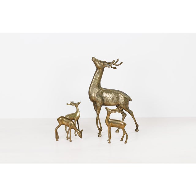 Mid-Century Modern Mid-Century Brass Deer Family, Set of 4 | Large Stag and Fawns For Sale - Image 3 of 15