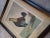 Printmaking Materials Rooster-Late 19th Century Cr Stock Lithograph - Cockerel Rooster - Set of 2 For Sale - Image 7 of 7