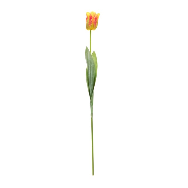 Celebrate the beauty of spring with this stunning set of Artificial Tulip Stems. Featuring lifelike blooms in vibrant...