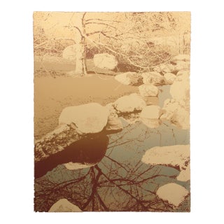 1980s Ted Thomas "Looking Glass Ii" Signed Numbered Fine Art Serigraph of Trees & Pond For Sale