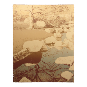 1980s Ted Thomas "Looking Glass Ii" Signed Numbered Fine Art Serigraph of Trees & Pond