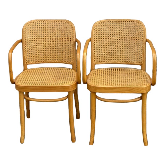 A Pair of Mid Century Thonet Style Bentwood Prague Chairs Chairs For Sale