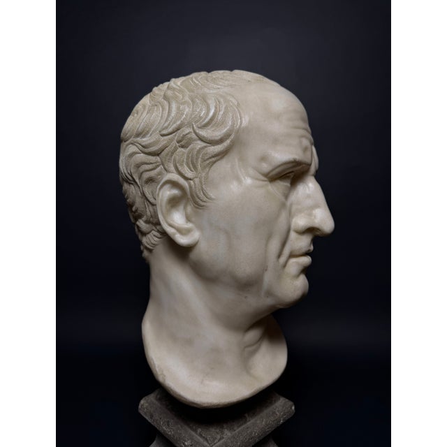 Head of Marcus Tullius Cicero, Late 18th Century, Marble For Sale - Image 11 of 18