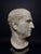 Head of Marcus Tullius Cicero, Late 18th Century, Marble For Sale - Image 11 of 18