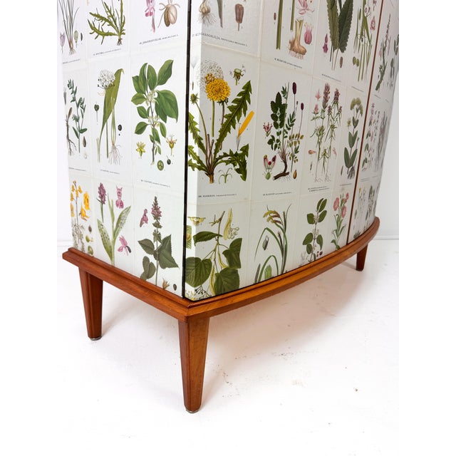 1950s 1950’s Swedish Curved Front Cabinet With Nordens Flora Illustrations For Sale - Image 5 of 13