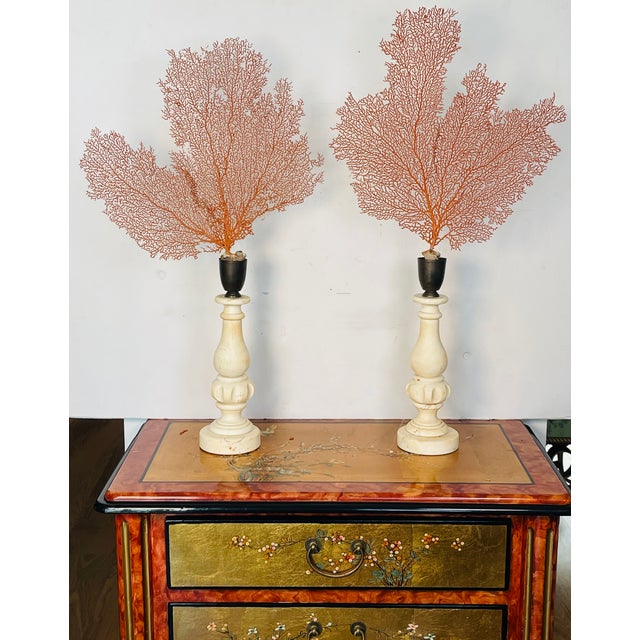 Organic Modern Pair of Sea Whip Branches on Alabaster Bases For Sale - Image 4 of 9