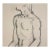 1990s Neil Meitzler Male Torso Drawing For Sale
