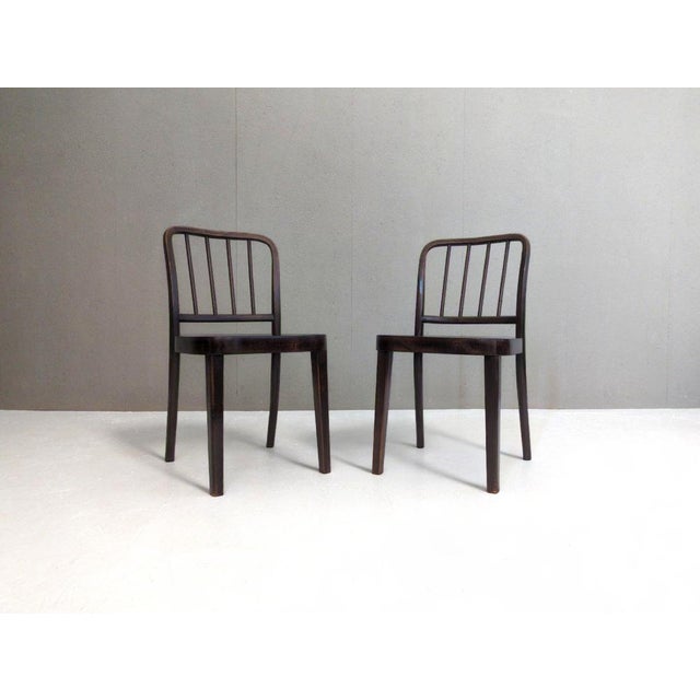 1930s 811/4 Dining Chairs by Josef Hoffmann for Thonet, 1930s, Set of 4 For Sale - Image 5 of 17