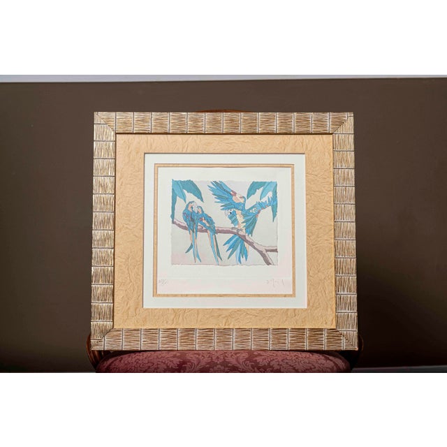 Dan Goad “Macaws” Signed & Numbered Limited Edition Bird Print, Framed For Sale - Image 12 of 13